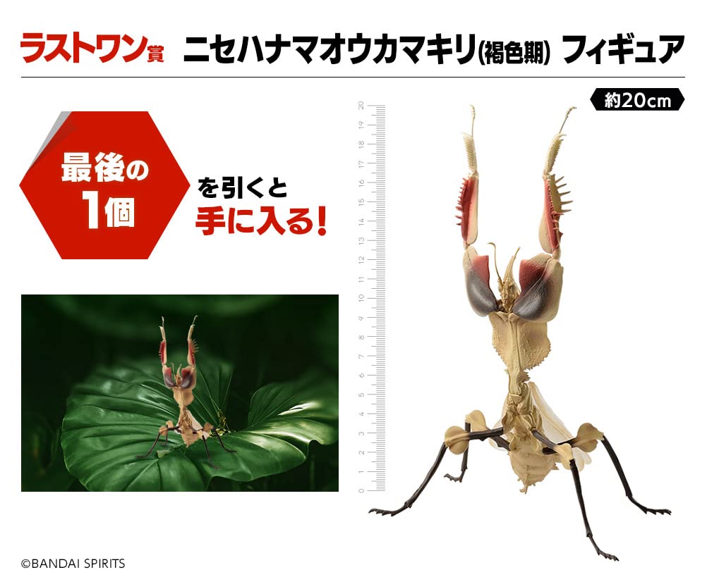 水曜セール【新品未開封】一番くじ昆虫 世界の昆虫だいしゅうごう！ コンプセット 一番くじ昆虫 世界の昆虫だいしゅうごう！｜一番くじ倶楽部｜BANDAI